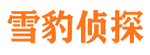 镶黄旗私家调查公司